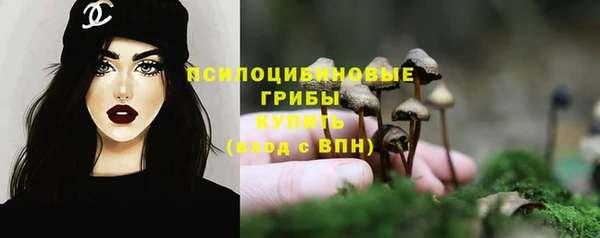 соль курить ск Алексеевка